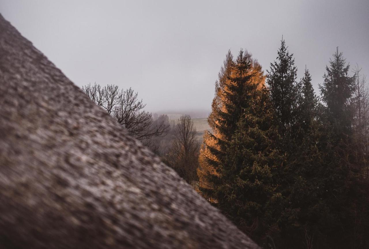 Dziki Dom Wetlina
